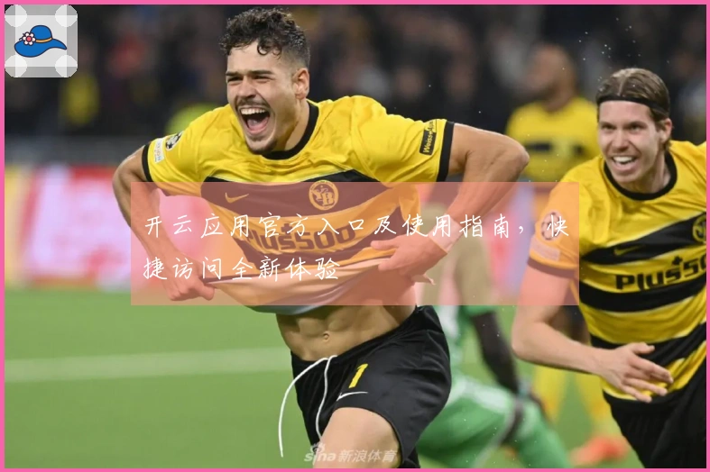 开云应用官方入口及使用指南，快捷访问全新体验